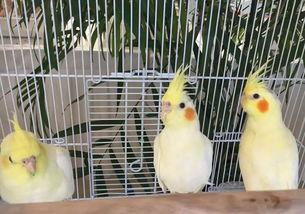 郑州公司吃瓜娱乐 第2张 郑州公司吃瓜娱乐 第2张