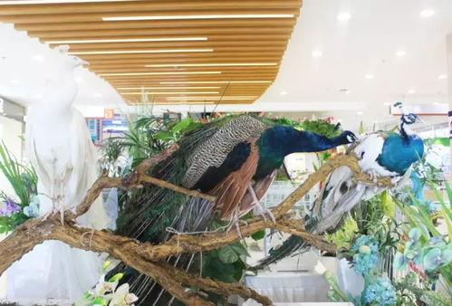 郑州公司吃瓜娱乐 第3张 郑州公司吃瓜娱乐 第3张